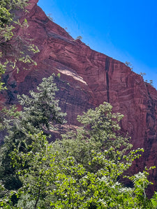 Kolob Arch hike in Zion National Park